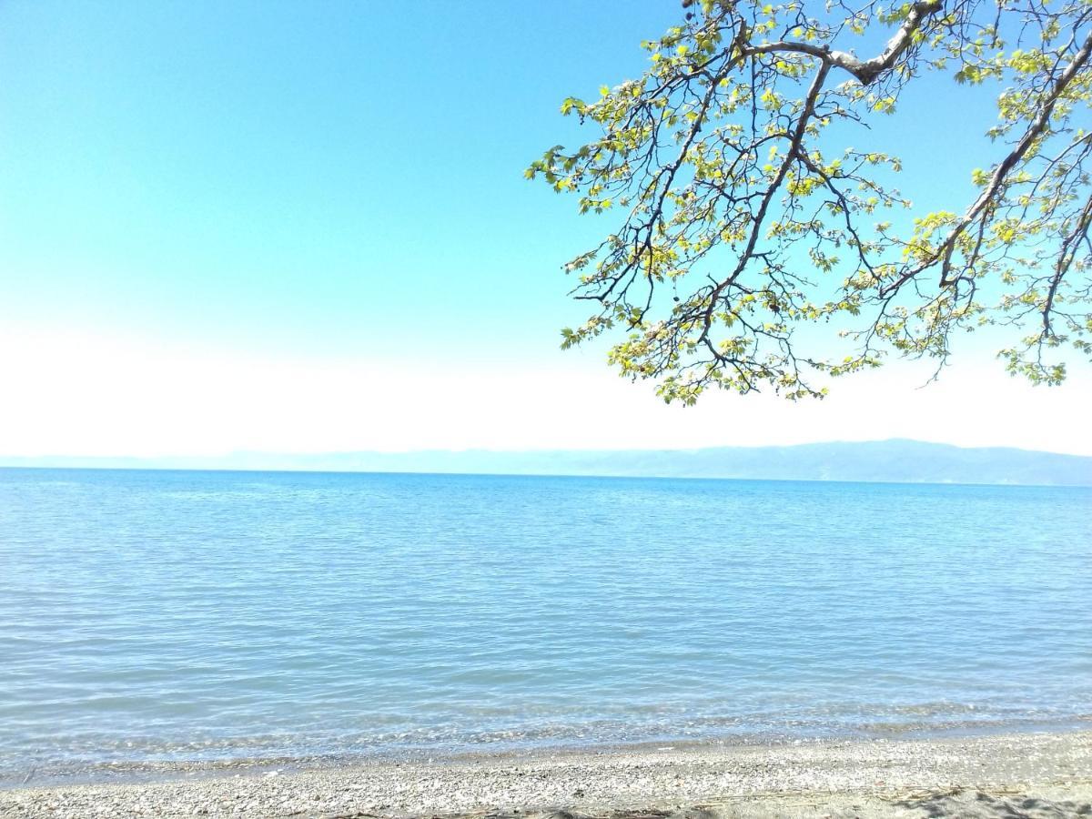 Apartment Biljana Ohrid Esterno foto